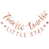 Rose Gold Twinkle Twinkle Bunting