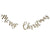 Gold Glitter Merry Christmas Wooden Bunting